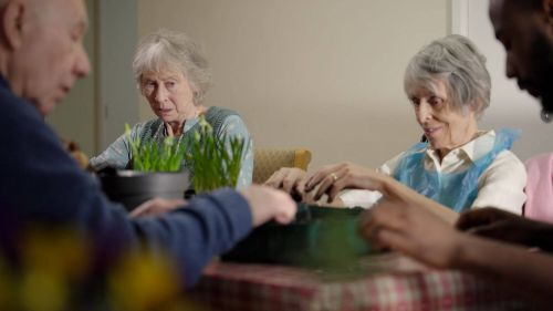 Group of older adults in a care home are sitting at a table engaged in a planting activity, with potted green plants in front of them, enjoying a social activity together.